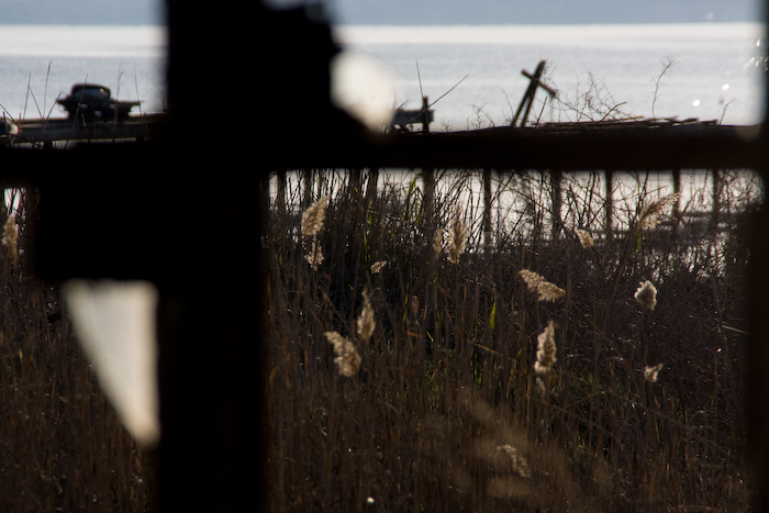 framed view