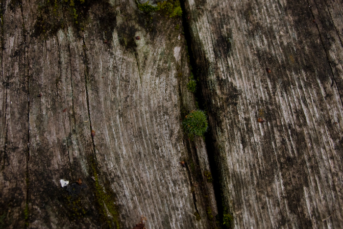 wooden floor slightly weathered...