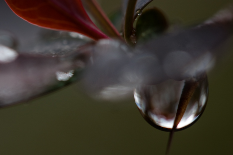 droplet