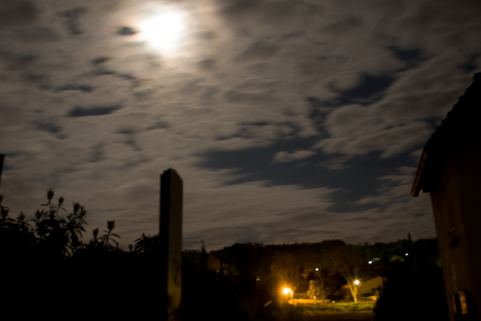 moonlight