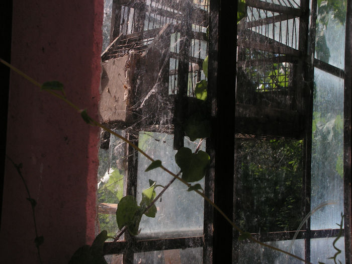 the old conservatory