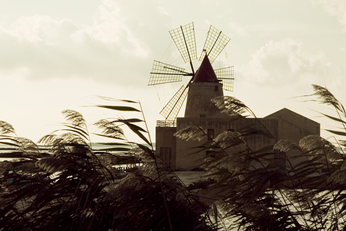 Salines
