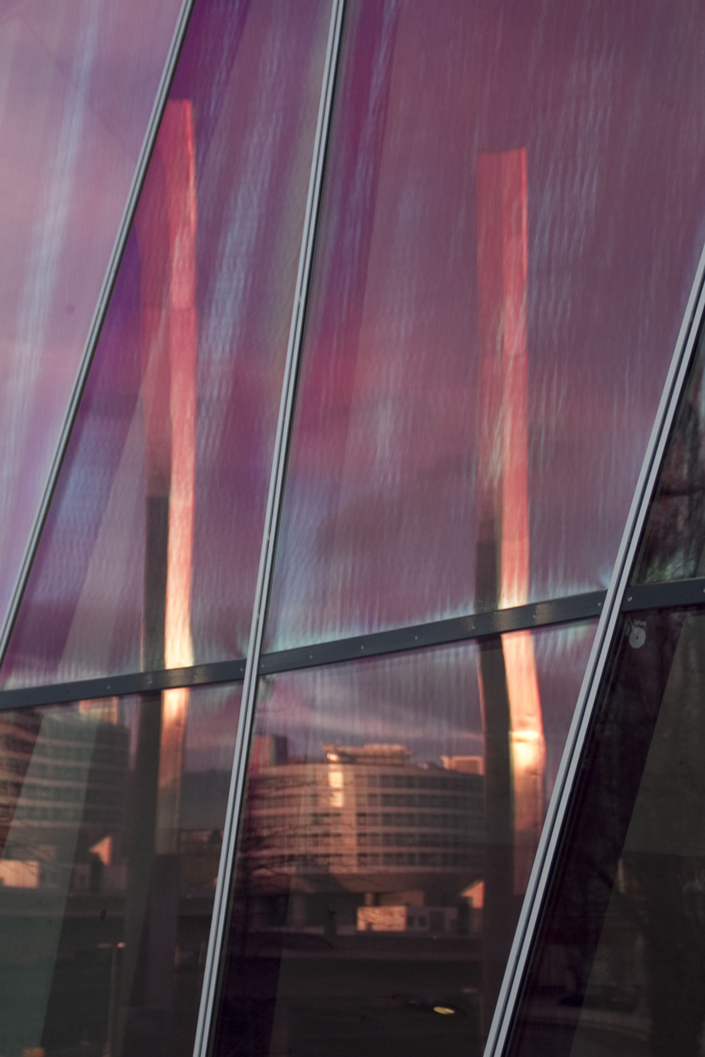 pink reflections