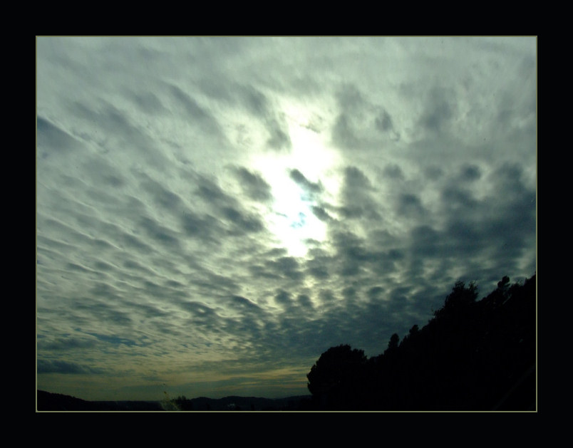 after the rain