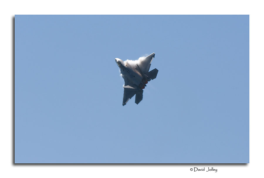 F-22 Raptor