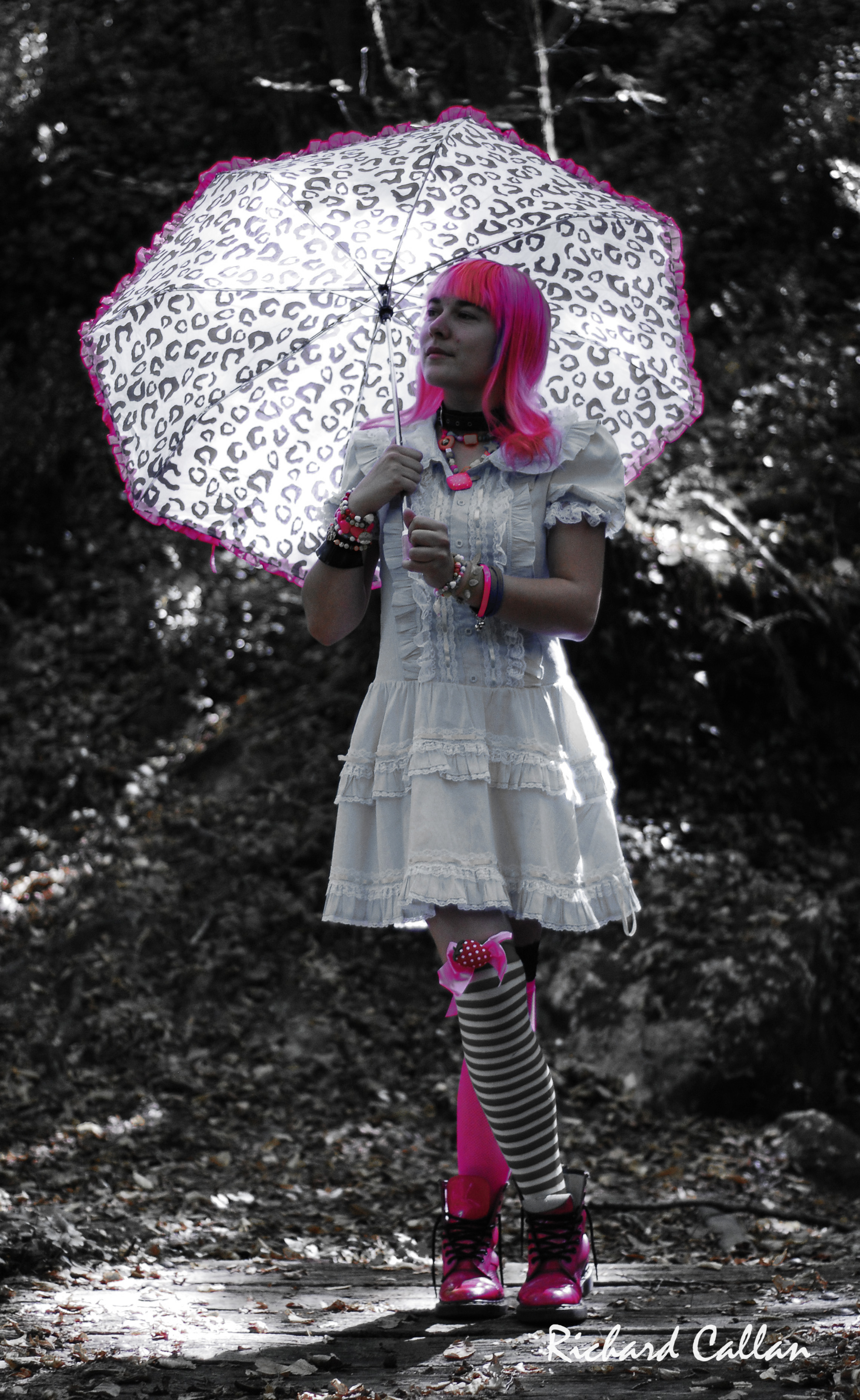 DSC_9065b.jpg