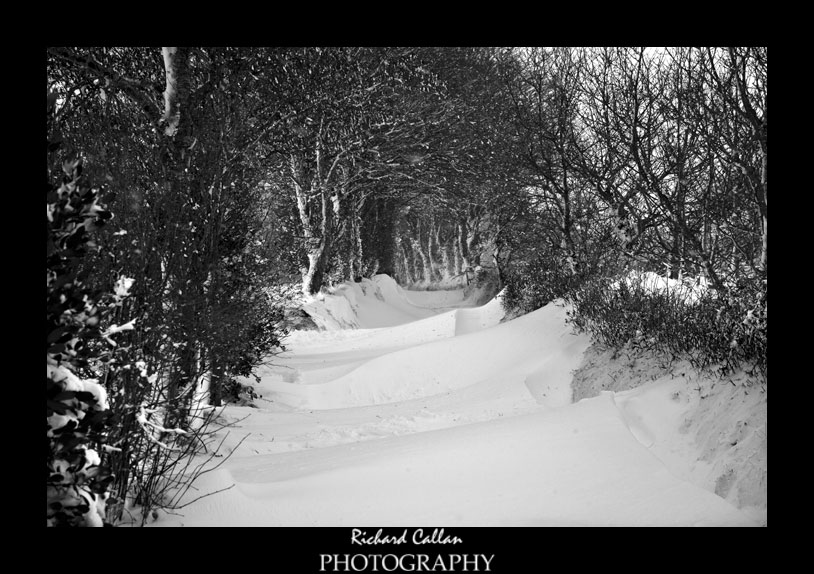 Snow in St. Lawrence