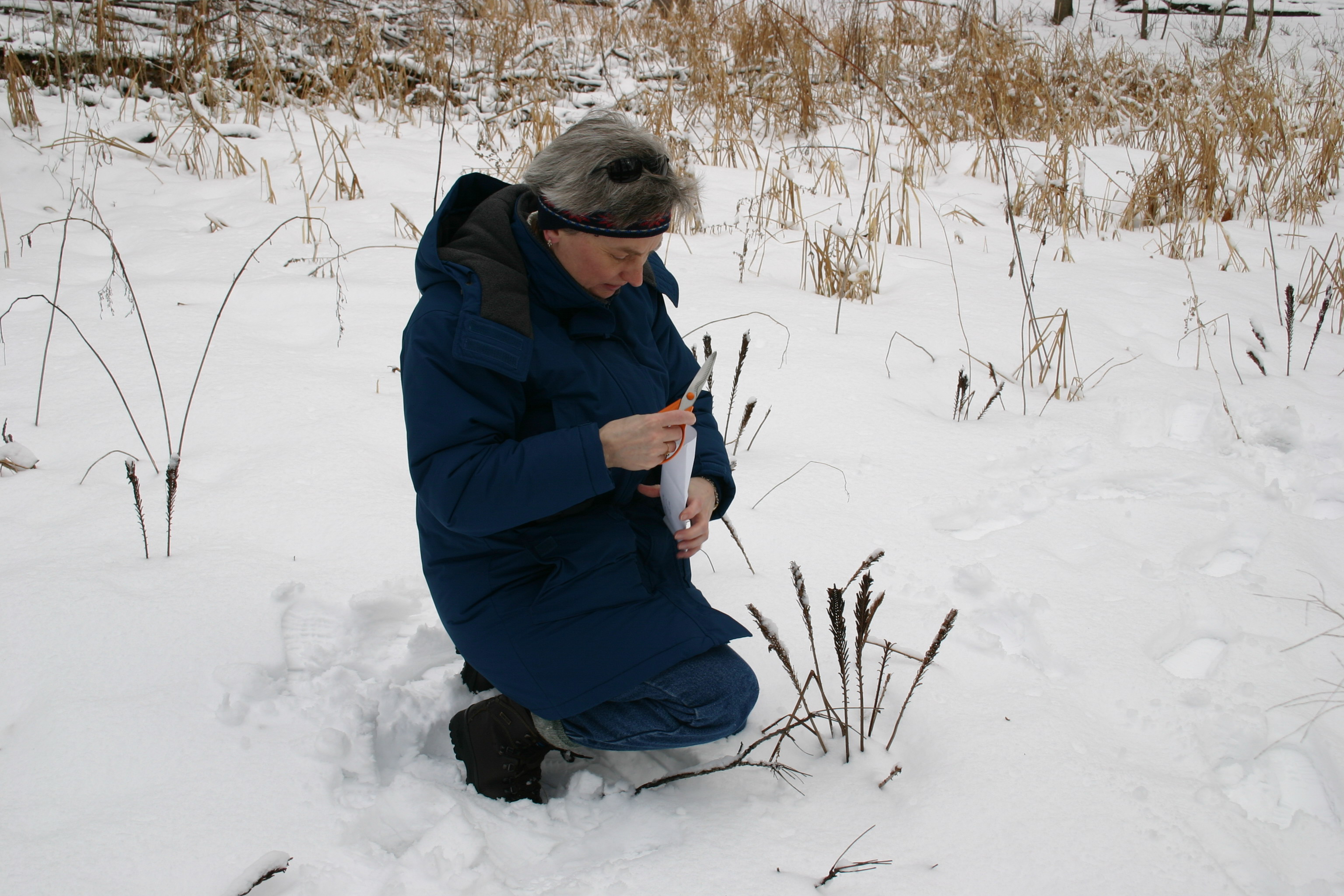 Laura collecting spores.jpg