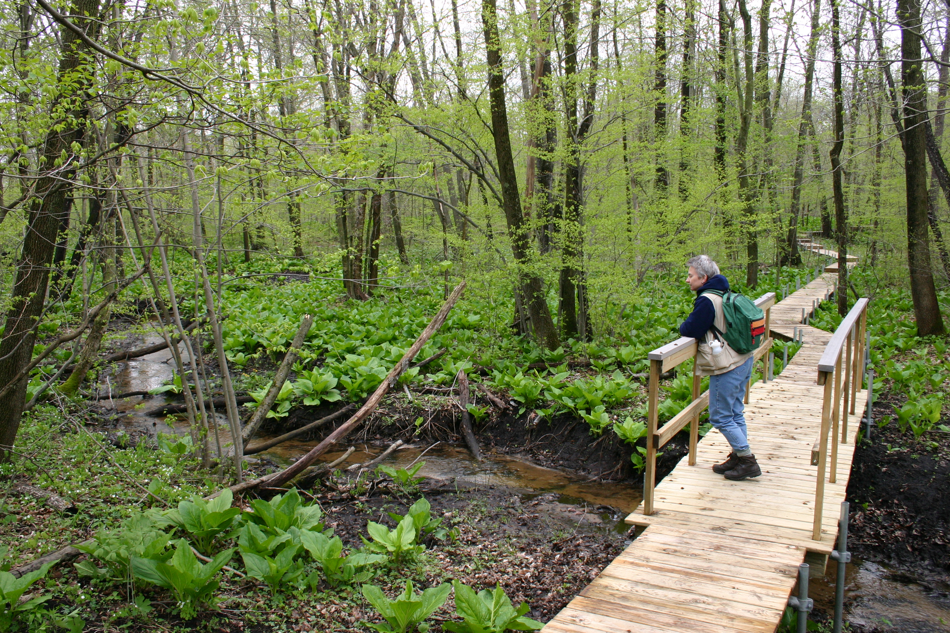 Laura in woods.JPG
