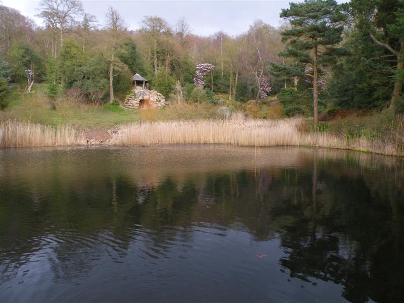 Grotto pond