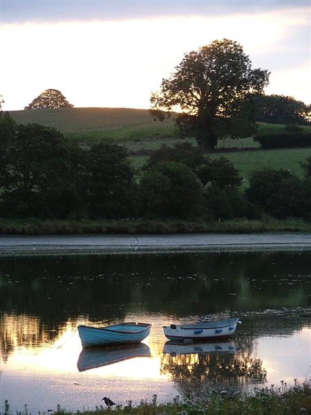 Dawn walk River Teifi