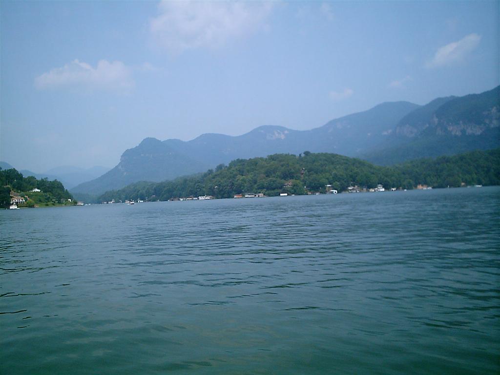 IMAG0067 Large.JPG