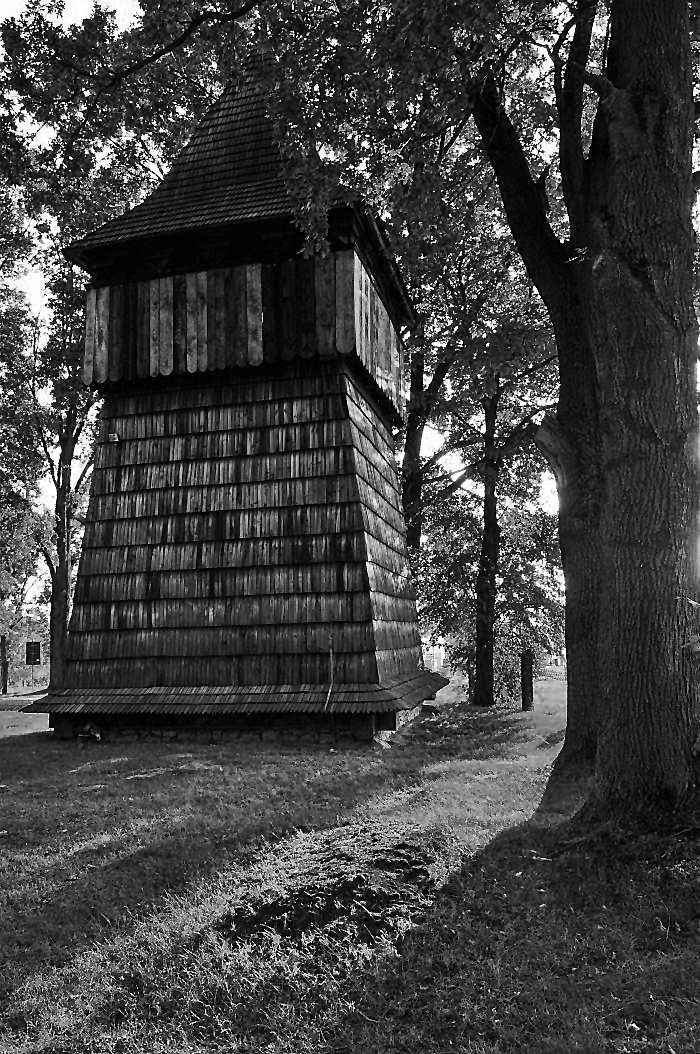 DSC_7699bw.jpg