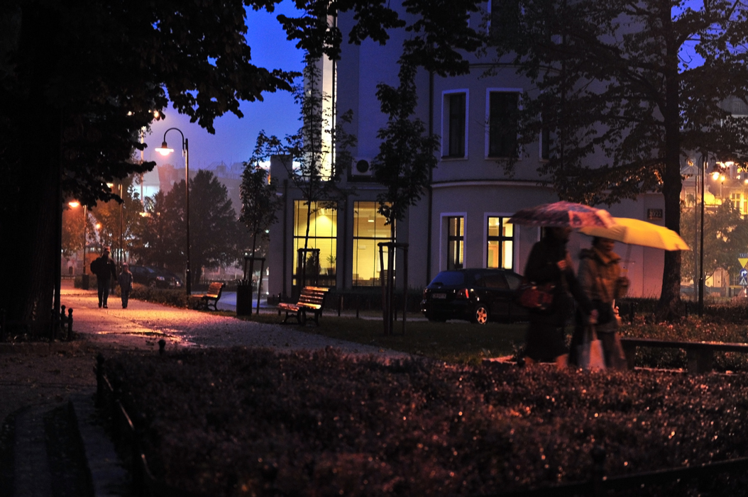 Wlodkowica street