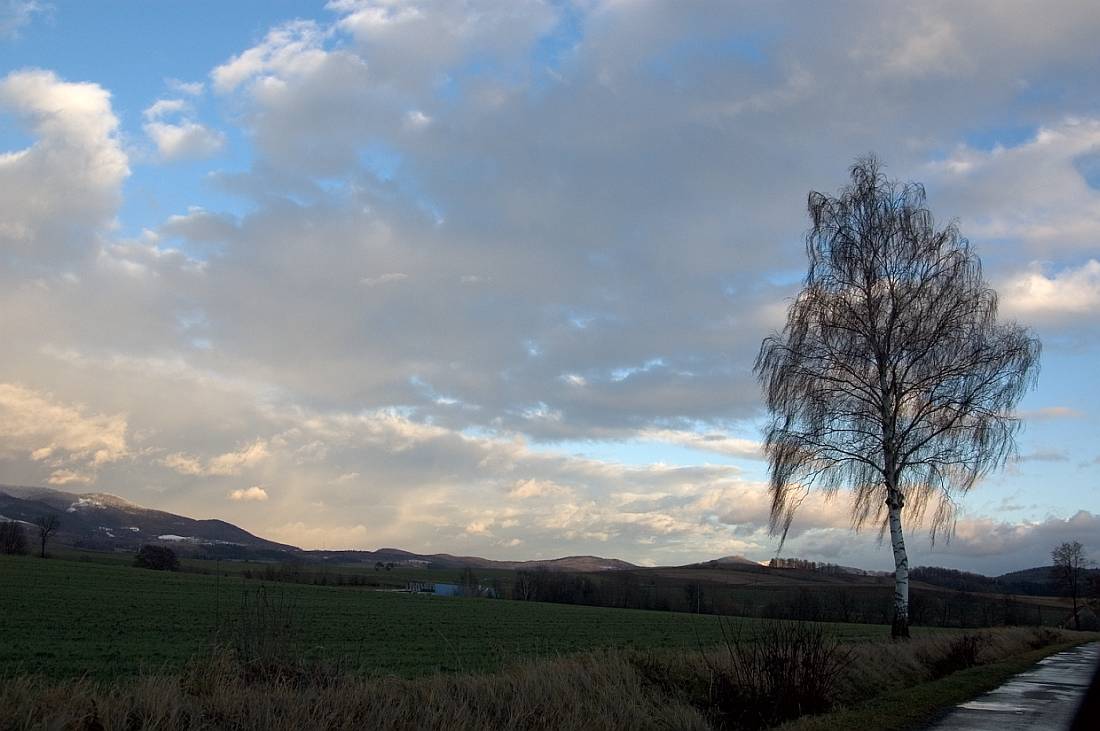  winter road in LADEK