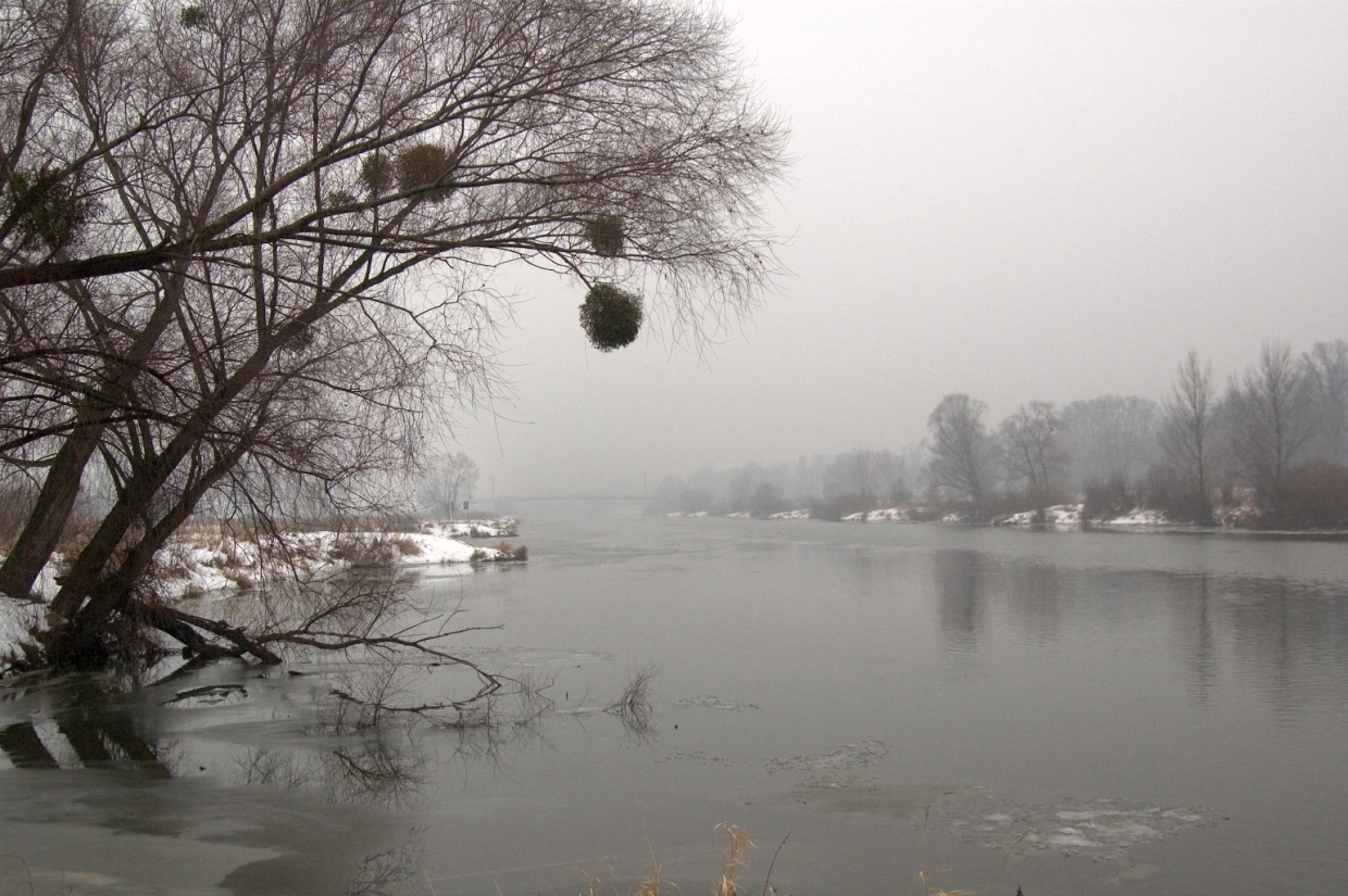 Odra river