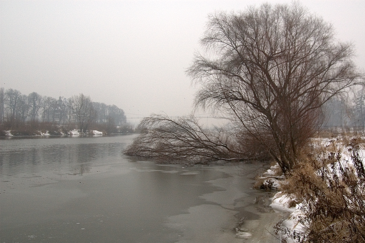 Odra river