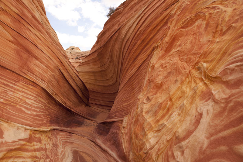 Coyote Buttes