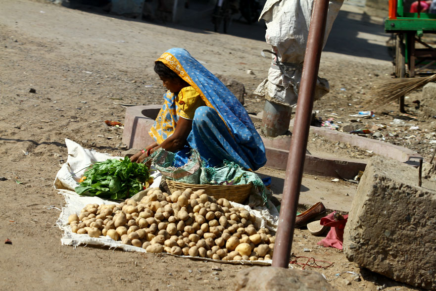 India2011_360.jpg