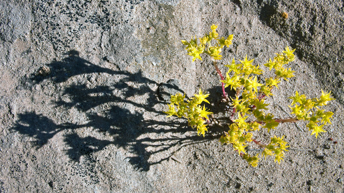 P1030674.jpg