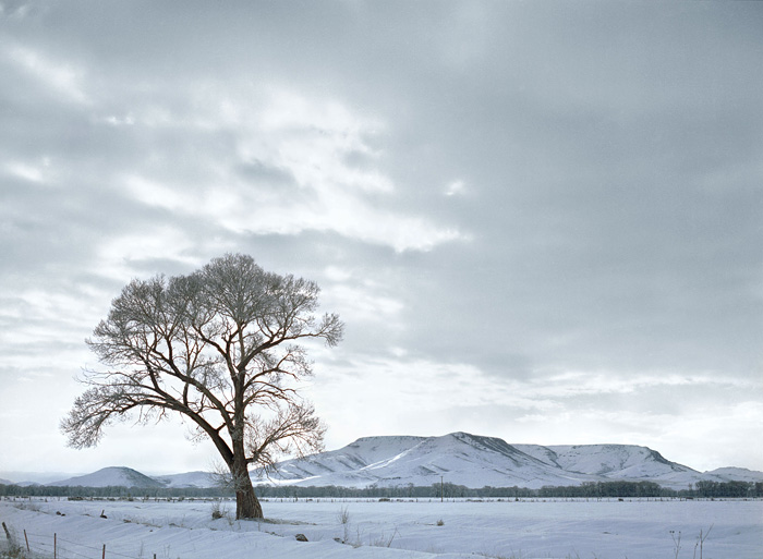 Cottonwood and the San Luis Hills