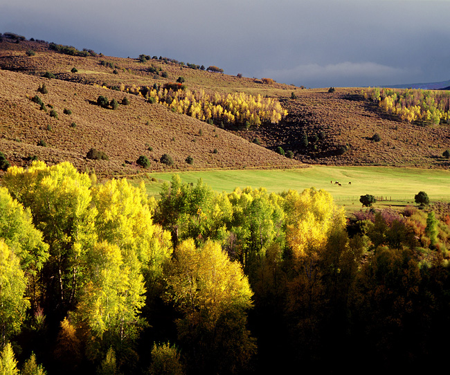 Fall Landscape near McClure Pass