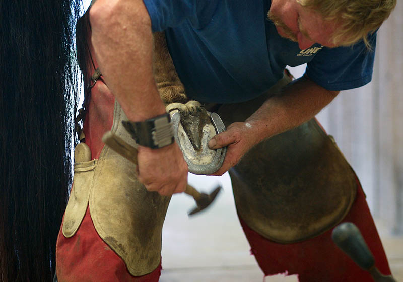 The Farrier