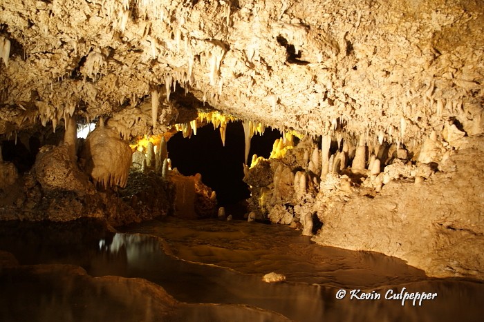 Harrisons Cave