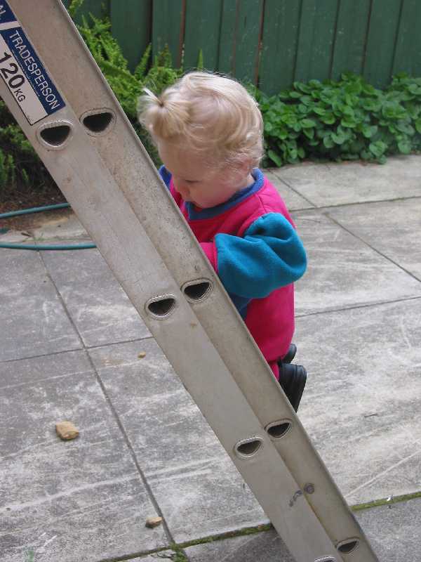 climbing daddys ladder