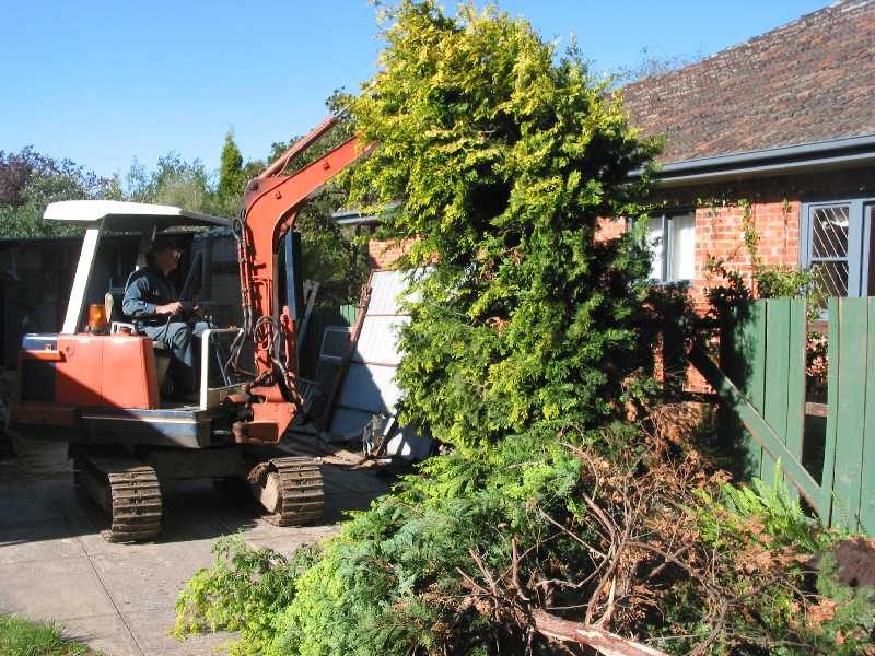 bye bye shrubs