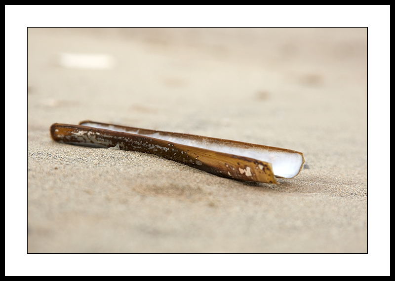 Razor shell