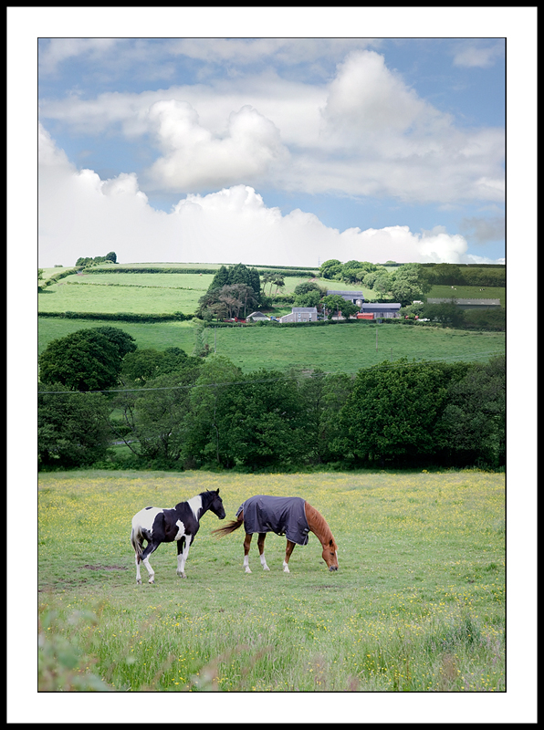 Three image vertical pano