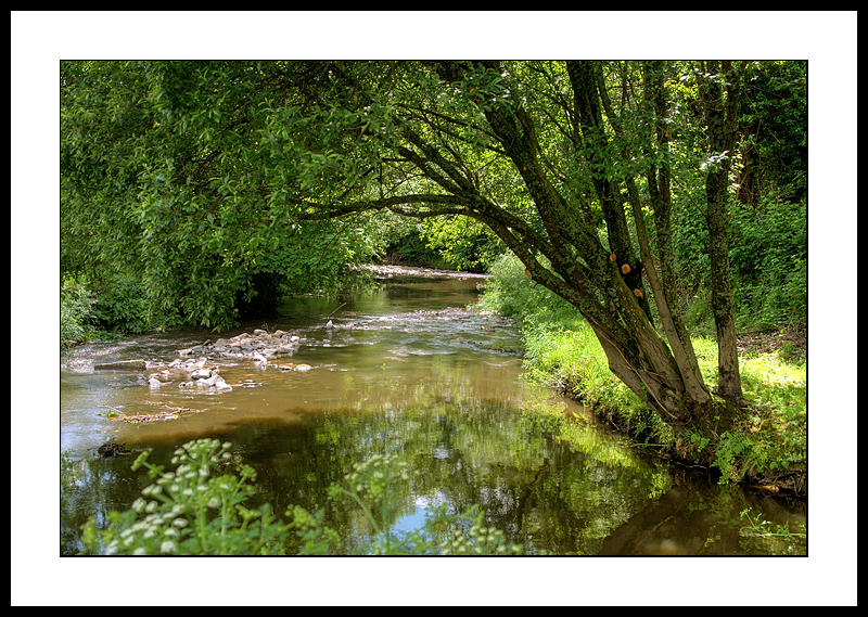 The river