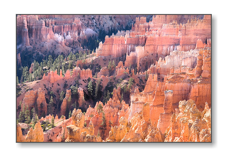 <b>More Hoodoos from Sunset Point</b><br><font size=2>Bryce Canyon Natl Park, UT
