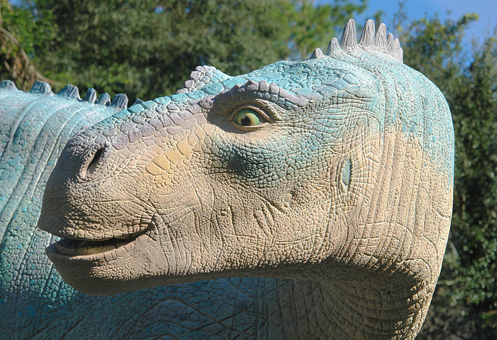 Dinosaur!Disney's Animal Kingdom
