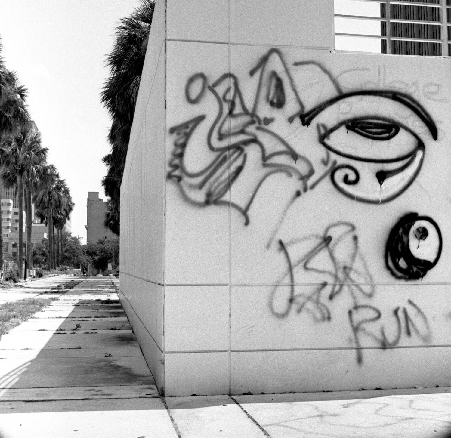 Tampa Museum of Art Graffiti 