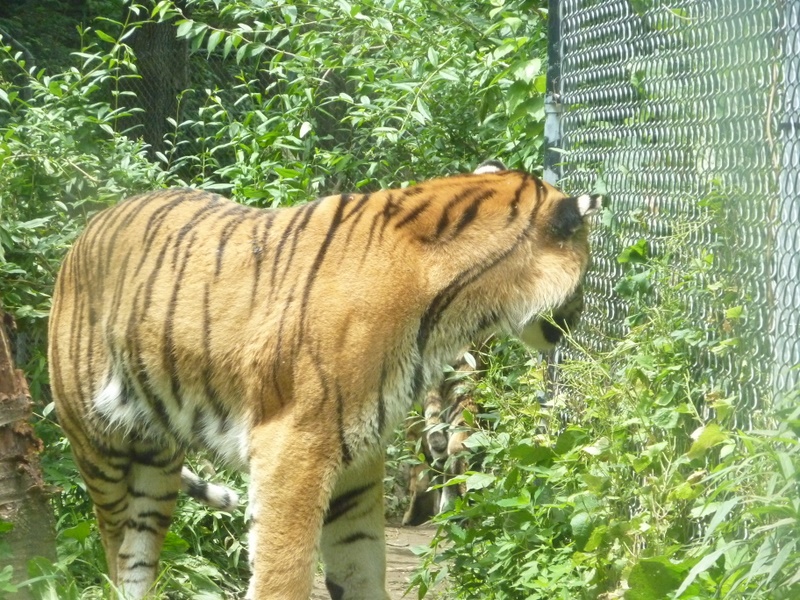 P1000477.JPG