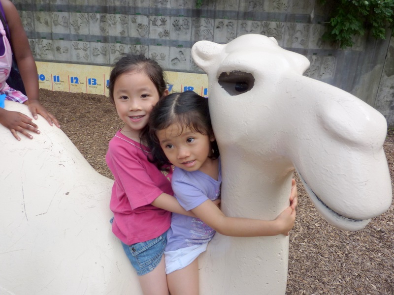 P1000558.JPG