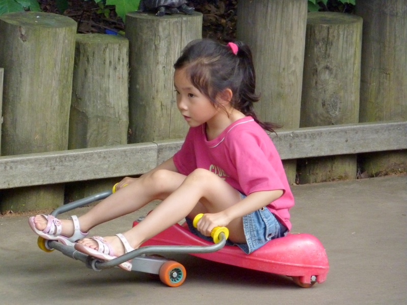 P1000629.JPG
