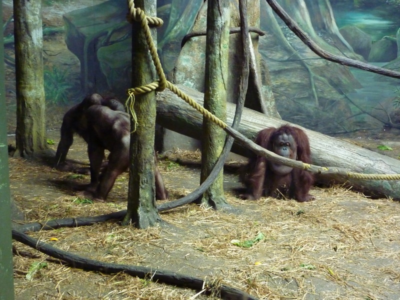 P1000856.JPG