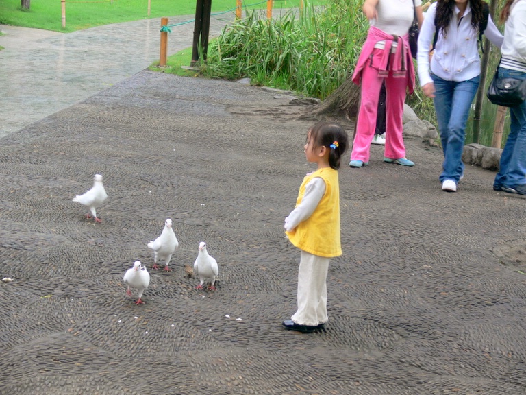 P1010830.JPG
