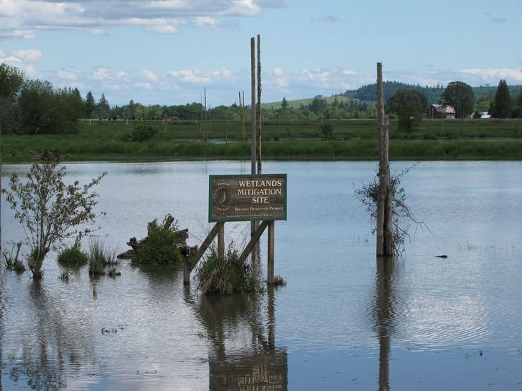 Wetlands Sign