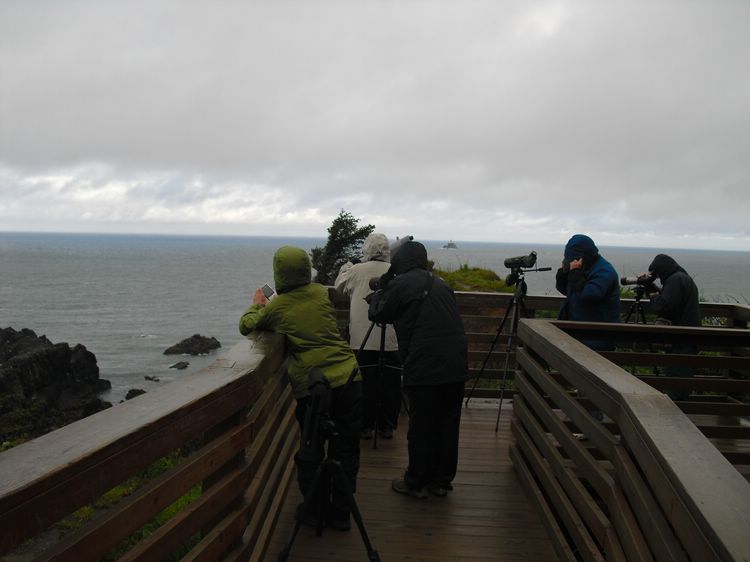Ecola State Park