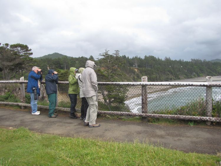 Birders in the Wind