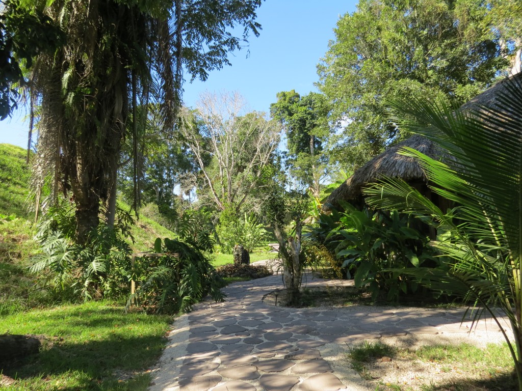 Path Near Our Place