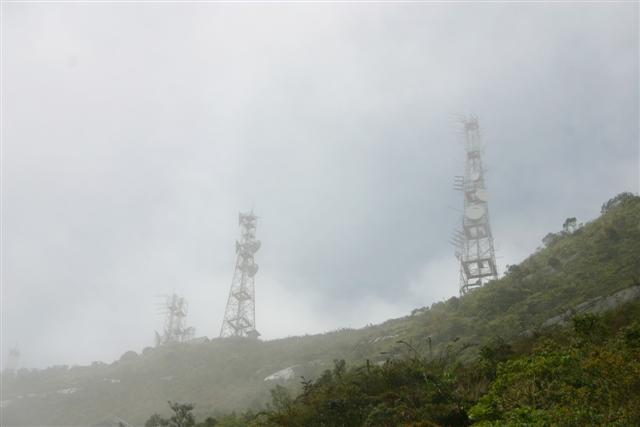 The Towers