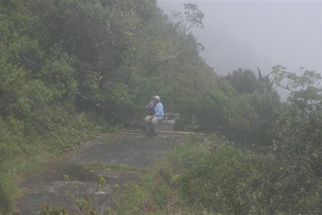 Naomi In the Mist