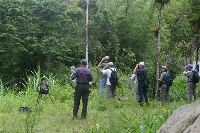 In the Field at Cedae