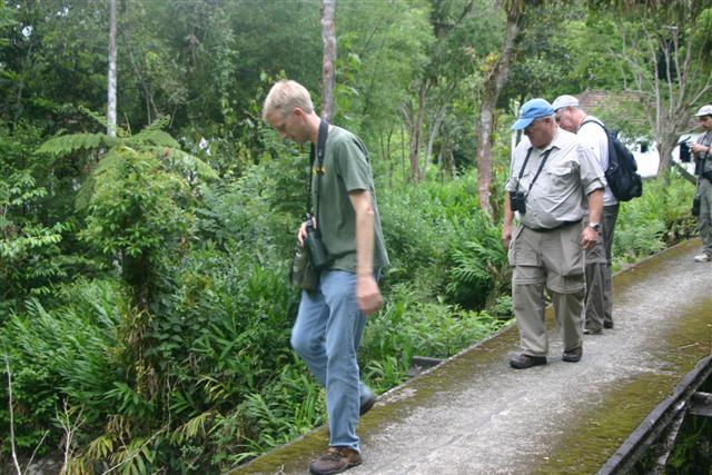On Trail at Cedae