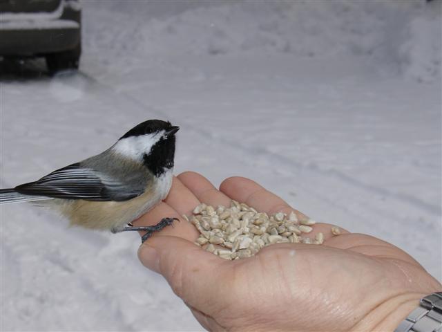Mmmm Food